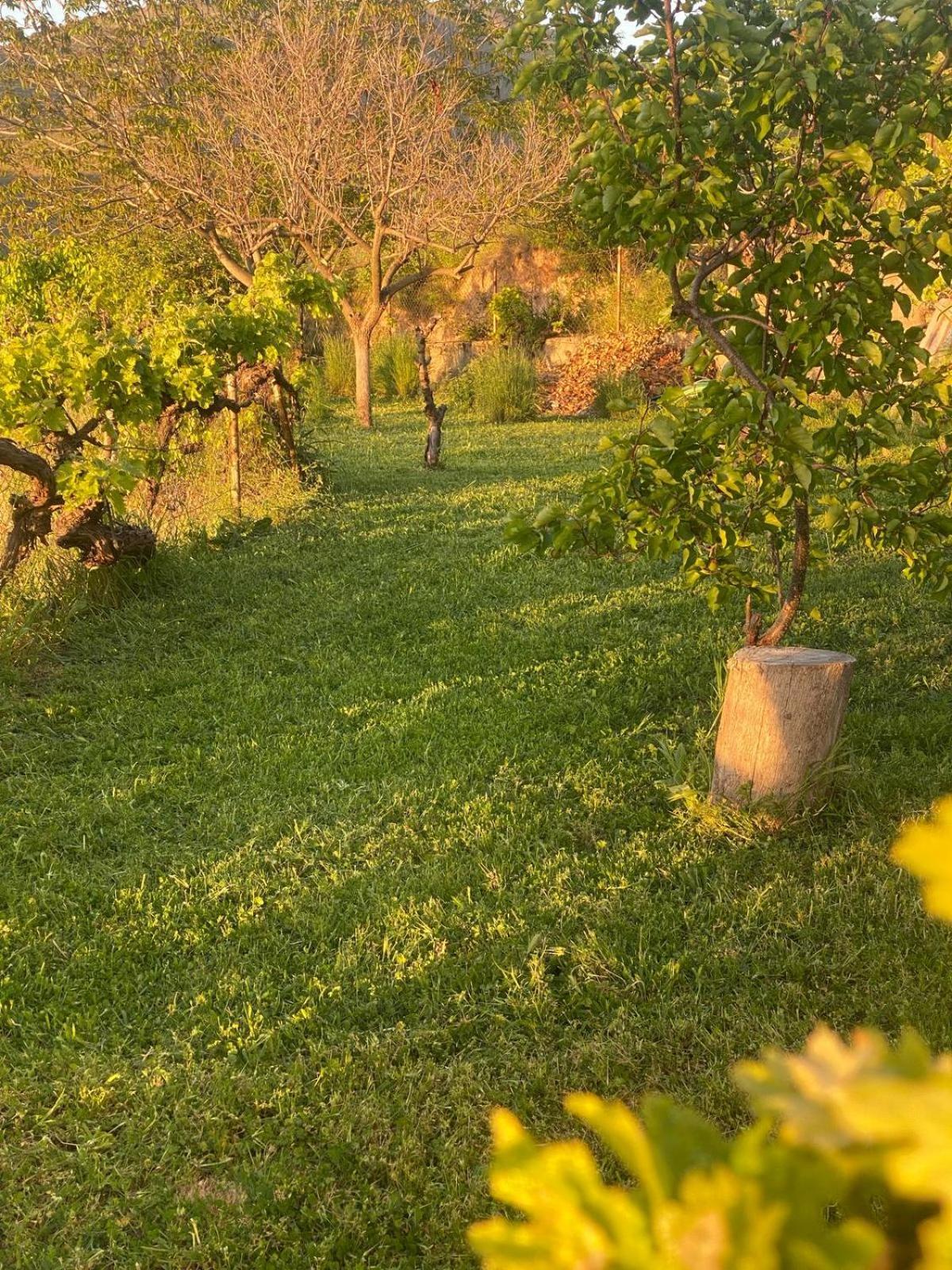 Casa Rural Balcon De Monachil Exterior photo